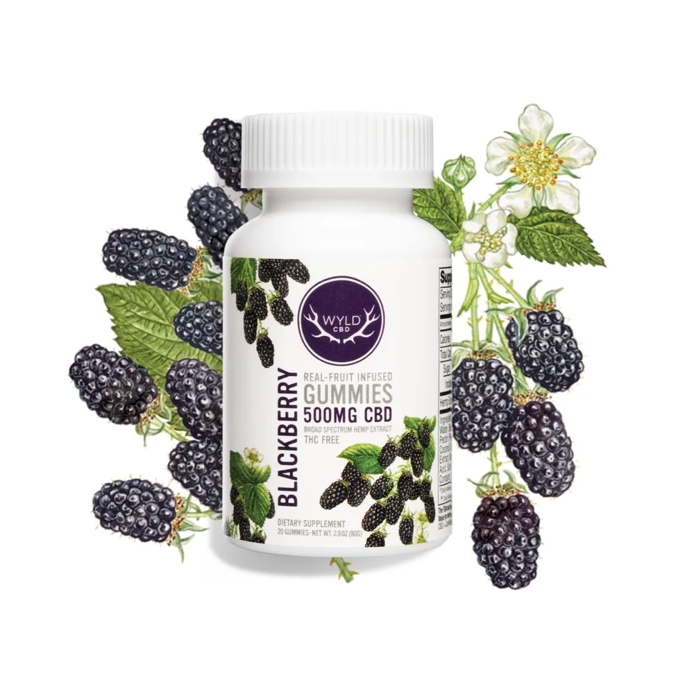 Wyld CBD, Blackberry Gummies, Broad Spectrum THC-Free, 20ct, 500mg CBD
